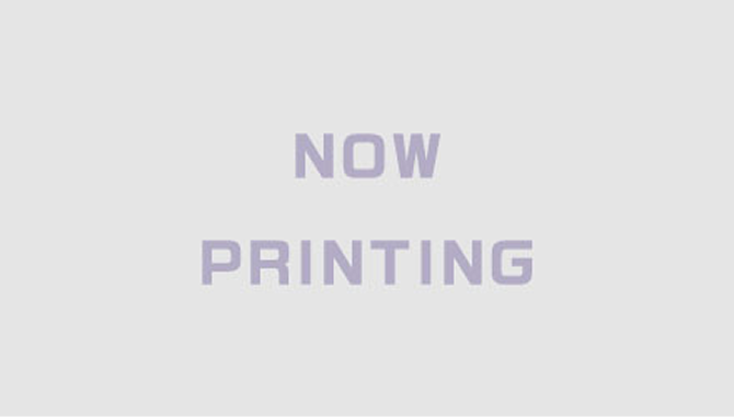 超熱狂大万博アクション