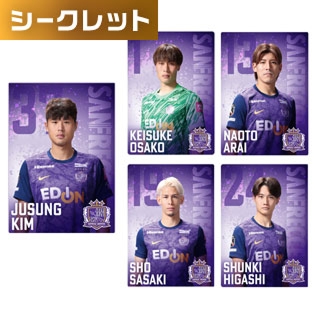 クリアカード(全30種)