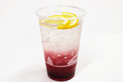 サンチェスカッシュ