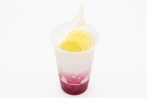 サンチェスカッシュフロート