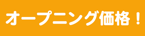 オープニング価格！