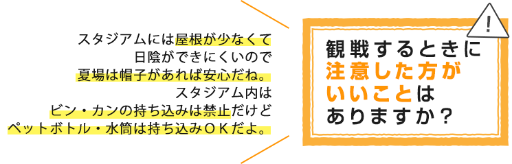 観戦するときに注意した方がいいことはありますか？