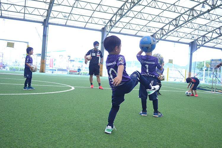 Pivoxスクール 開催地域 サンフレッチェ広島 Sanfrecce Hiroshima