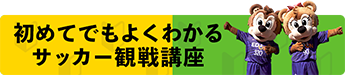 応援ソング エディオンスタジアム広島 サンフレッチェ広島 Sanfrecce Hiroshima