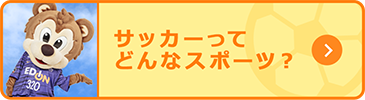 サッカーってどんなスポーツ？