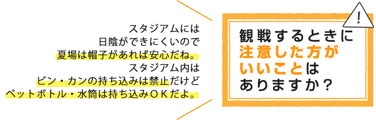 観戦するときに注意した方がいいことはありますか？